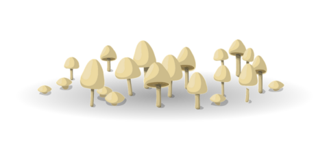 Mushrooms Illustration