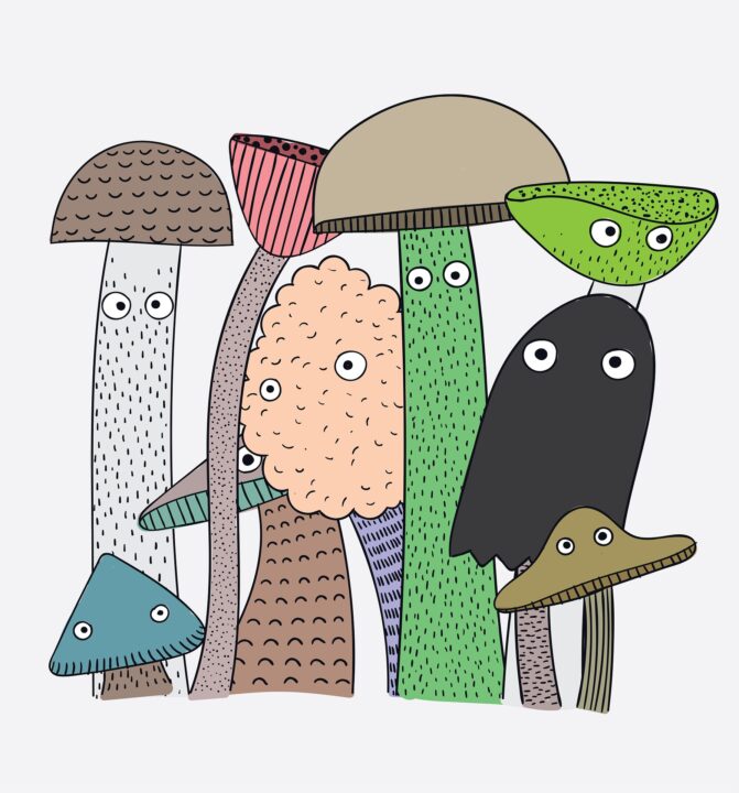 Funny Mushrooms Illustration